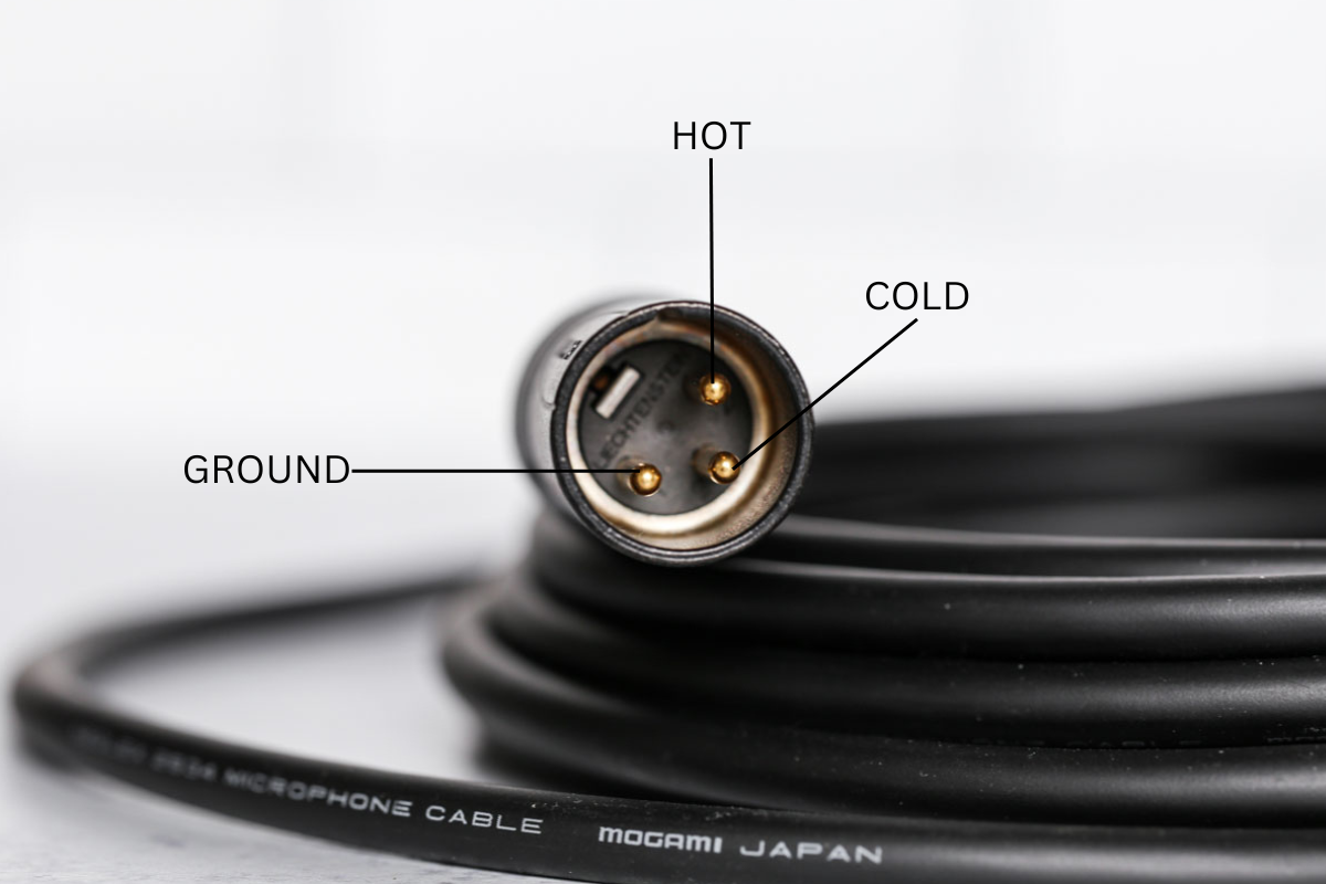 Mogami Gold Studio XLR Cable Review for Voice Actors letsgovo.co